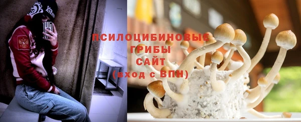 метадон Пересвет